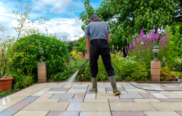 Animal Enclosure Cleaning in George Mason, VA
